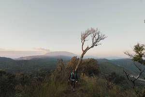 BIB: 
                            <button type="button" onclick="openModal(16050278)" class="btn btn-primary btn-sm float-right btn-popup" data-toggle="modal" data-target=".modal-high-quality">
                        <i class="fas fa-shopping-cart"></i> Add to Cart
                    </button>
                                            <button type="button" onclick="isThisMe(16050278, true)" class="btn btn-success btn-sm float-right btn-popup btn-isme hidden" data-toggle="tooltip" data-placement="bottom" title="นี่คือรูปของคุณใช่ไหม คลิกที่นี่เพื่อเอาเข้าอัลบั้ม">
                        <i class="fas fa-plus"></i> Add to album
                    </button>
                    <button type="button" onclick="isThisMe(16050278, false)" class="btn btn-warning btn-sm float-right btn-popup btn-isnotme hidden">
                        <i class="fas fa-ban"></i> Remove from album
                    </button>